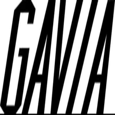 INDOOR GAVIA TEAM logo